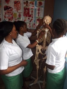 public health nursing